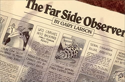 The Far Side Observer book cover