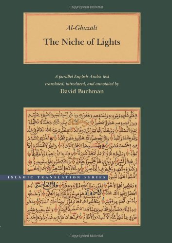 The Niche of Lights book cover