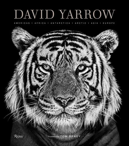 David Yarrow Photography: Americas Africa Antarctica Arctic Asia Europe book cover
