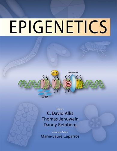 Epigenetics book cover