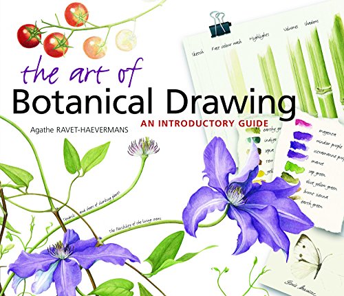 The Art of Botanical Drawing: An Introductory Guide book cover