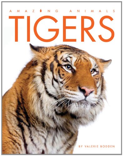 Tigers (Amazing Animals) book cover