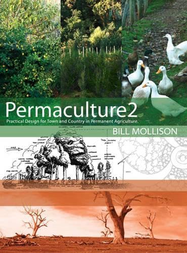 Permaculture Two: Practical Design for Town and Country in Permanent Agriculture book cover