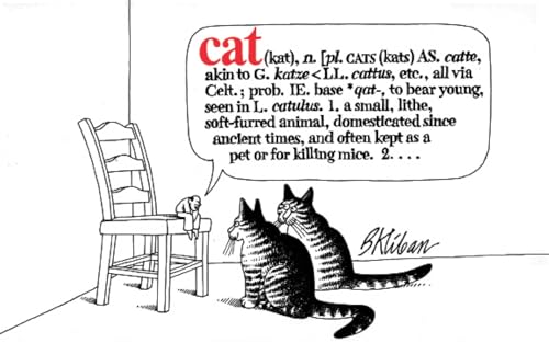 Cat book cover