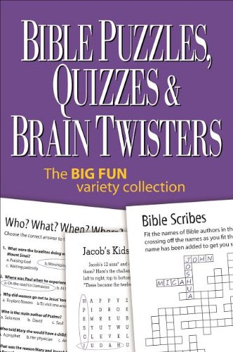 Bible Puzzles, Quizzes & Brain Twisters: The Big Fun Variety Collection book cover
