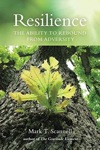 Resilience:  The Ability to Rebound from Adversity