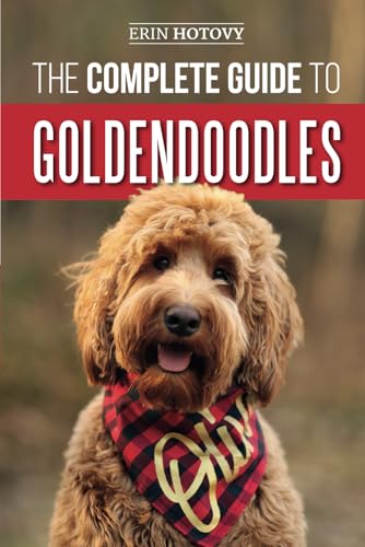 The Complete Guide to Goldendoodles: How to Find, Train, Feed, Groom, and Love Your New Goldendoodle Puppy book cover