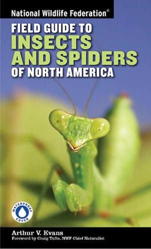National Wildlife Federation Field Guide to Insects and Spiders Related Species of North America book cover