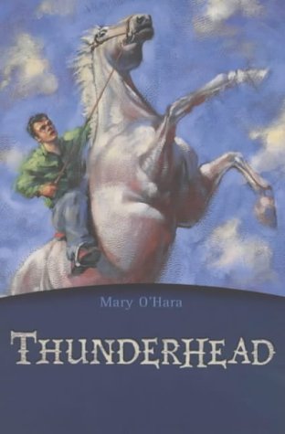 Thunderhead (Flicka, #2) book cover
