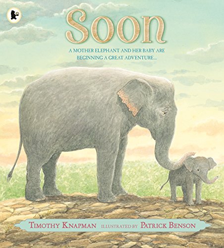 Soon book cover