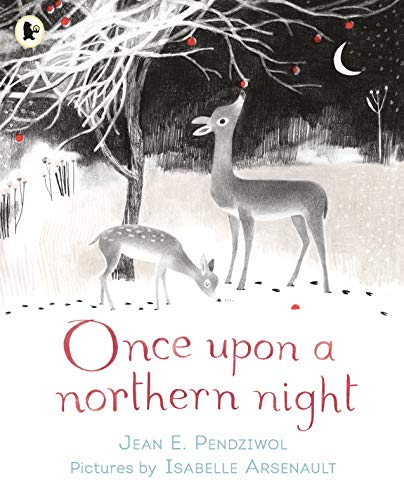 Once Upon a Northern Night book cover