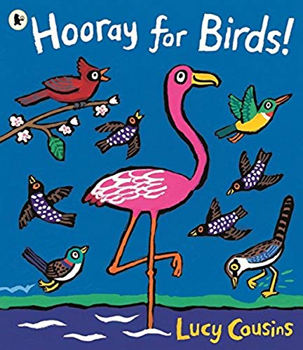 Hooray for Birds! book cover