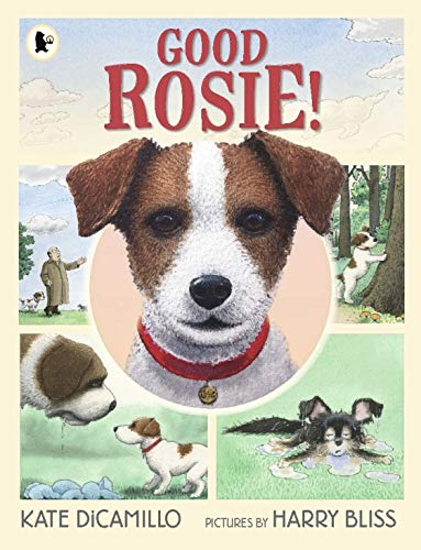 Good Rosie book cover