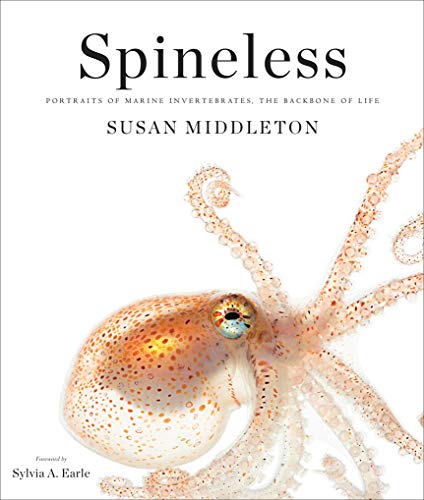 Spineless: Portraits of Marine Invertebrates, the Backbone of Life