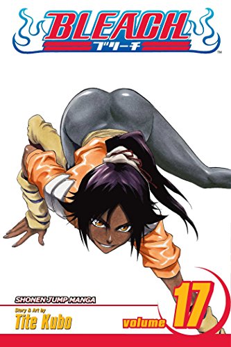 Read Bleach, Volume 17