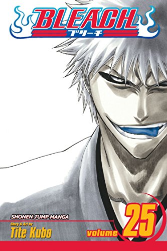 Read Bleach, Volume 25
