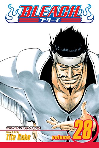 Read Bleach, Volume 28