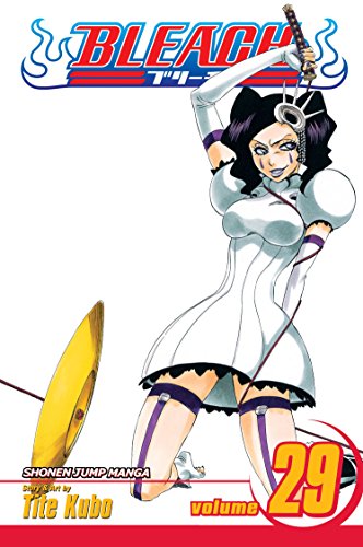 Read Bleach, Volume 29