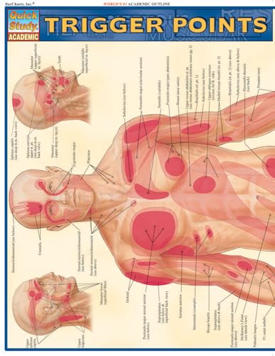 Trigger Points (Quick Study Academic) book cover