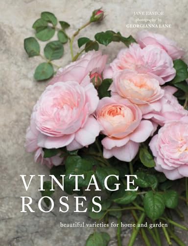 Vintage Roses: Beautiful Varieties for Home and Garden book cover
