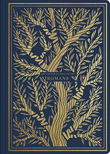 ESV Illuminated Scripture Journal: Romans book cover