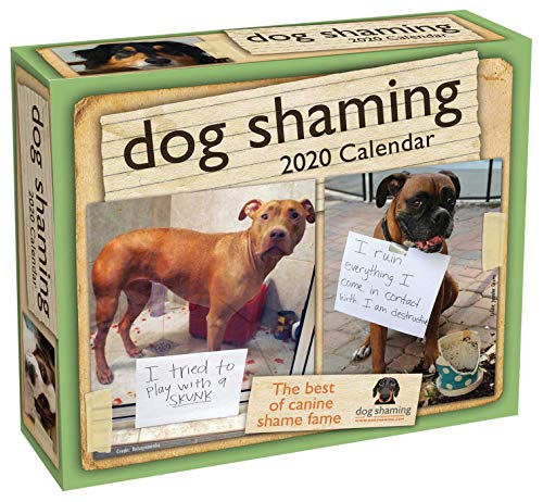Dog Shaming 2020 Day-to-Day Calendar book cover