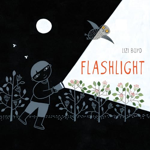 Flashlight book cover
