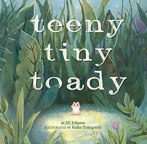 Teeny Tiny Toady book cover