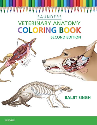 Saunders Veterinary Anatomy Coloring Book book cover
