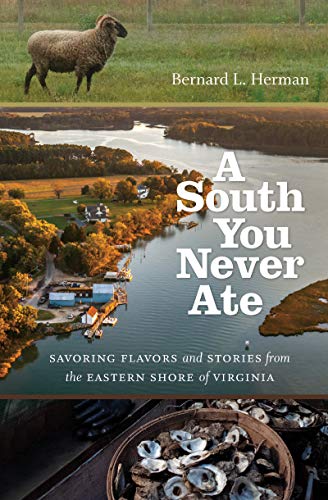 A South You Never Ate: Savoring Flavors and Stories from the Eastern Shore of Virginia book cover