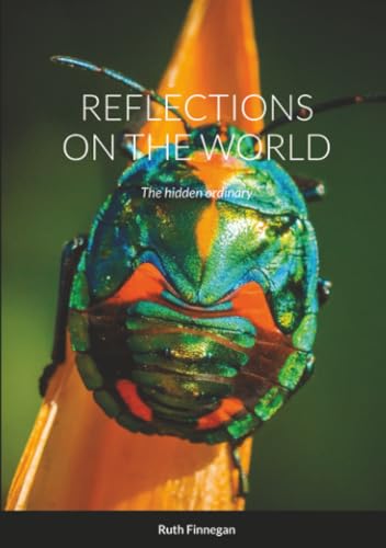 REFLECTIONS ON THE WORLD: The hidden ordinary