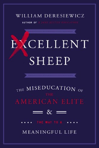 Excellent Sheep