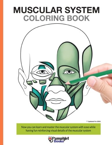 Muscular System Coloring Book: Now You Can Learn and Master the Muscular System with Ease While Having Fun book cover