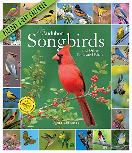 Audubon Songbirds and Other Backyard Birds Picture-A-Day Wall Calendar 2020 book cover
