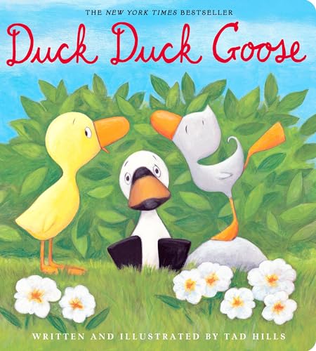 Duck, Duck, Goose book cover