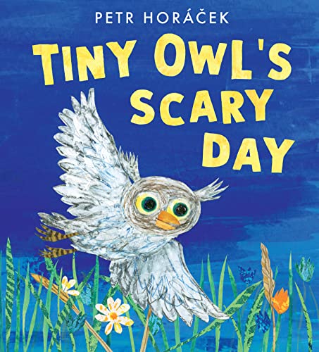 Read Walker Books Ltd Tiny Owls Scary Day.