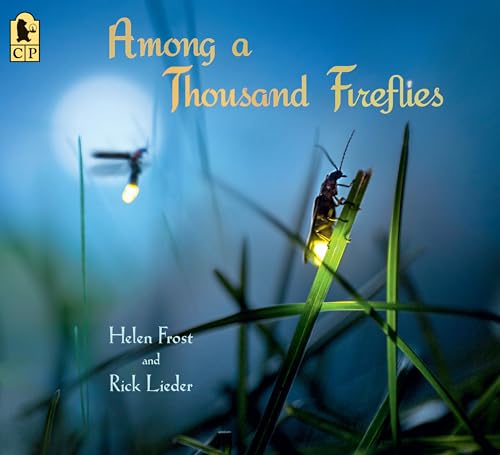 Among a Thousand Fireflies book cover