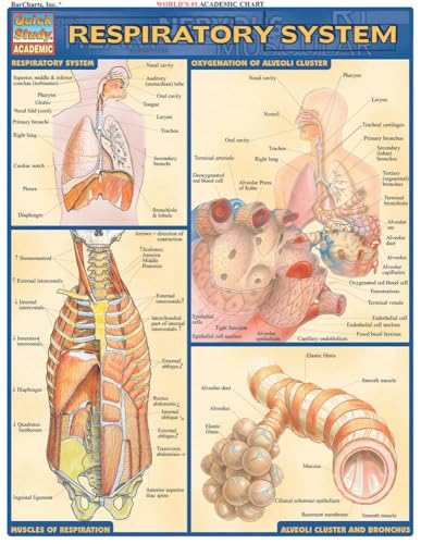 Respiratory System book cover