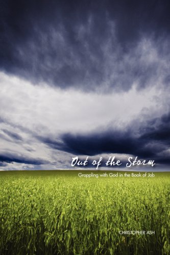 Out of the Storm: Grappling with God in the Book of Job book cover