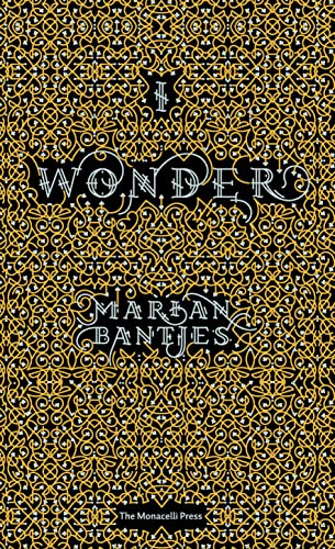 I Wonder book cover
