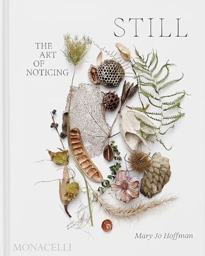 Read STILL: The Art of Noticing