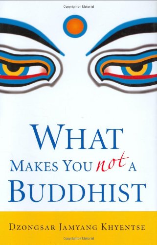Read What Makes You Not a Buddhist