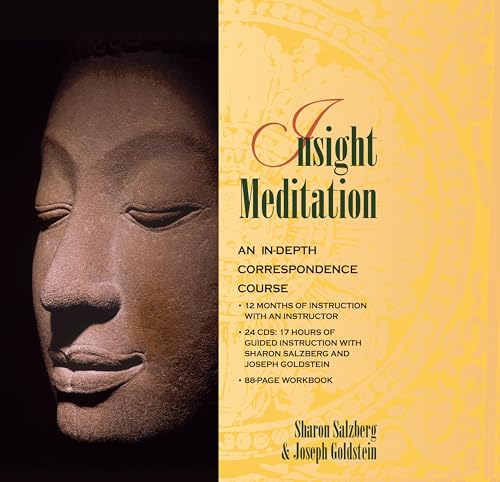 Insight Meditation: A Step-by-step Course on How to Meditate book cover