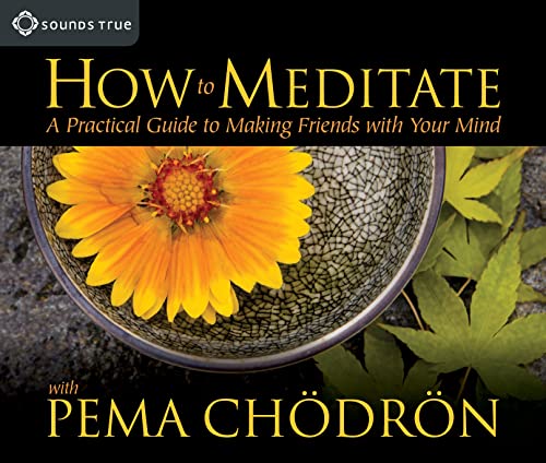 Read How to Meditate: A Practical Guide to Making Friends with Your Mind