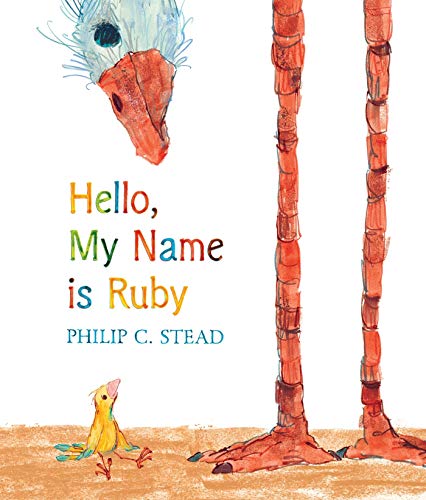 Hello, My Name is Ruby book cover