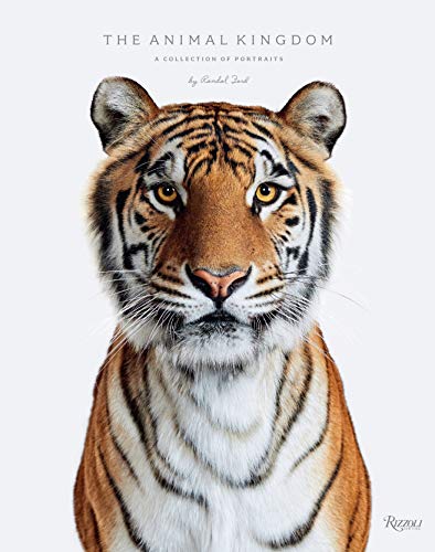 Animal Kingdom: A Collection of Portraits book cover