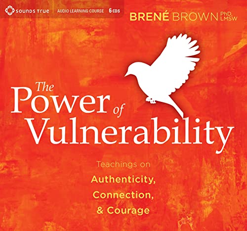 The Power of Vulnerability: Teachings of Authenticity, Connections and Courage book cover