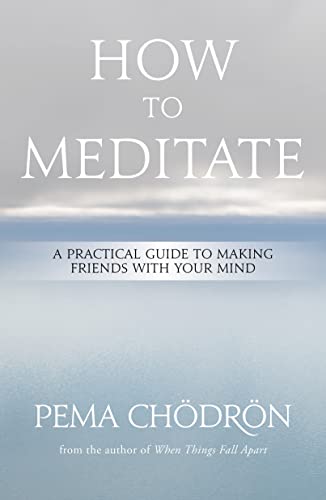How to Meditate: A Practical Guide to Making Friends with Your Mind book cover