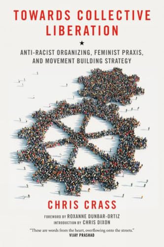 Towards Collective Liberation: Anti-Racist Organizing, Feminist Praxis, and Movement Building Strategy book cover
