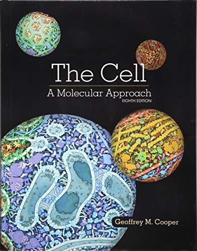The Cell: A Molecular Approach book cover